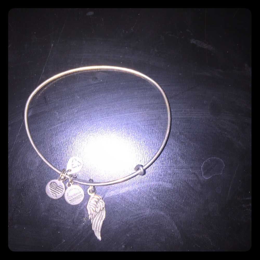 Alex and Ani charm bracelet